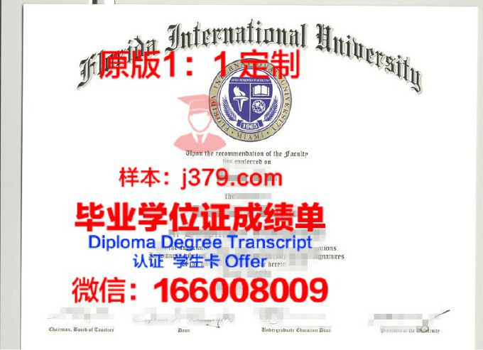 佛罗里达州立大学毕业证书原件(美国佛罗里达州立大学生涯档案系统)