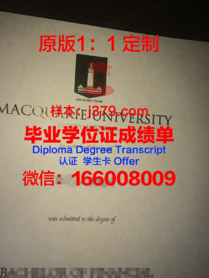 麦考瑞大学毕业证书原件(麦考瑞大学学历教育部认可)