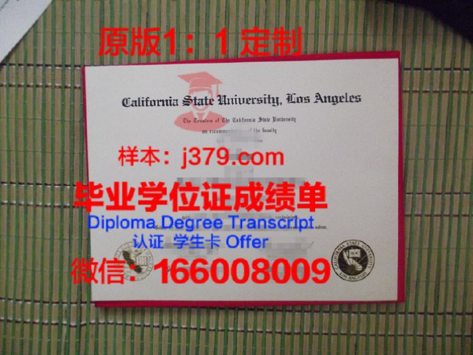 加州大学欧文分校毕业证diploma