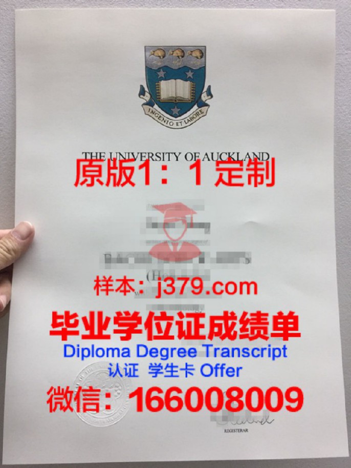 奥克兰国际学院毕业证diploma