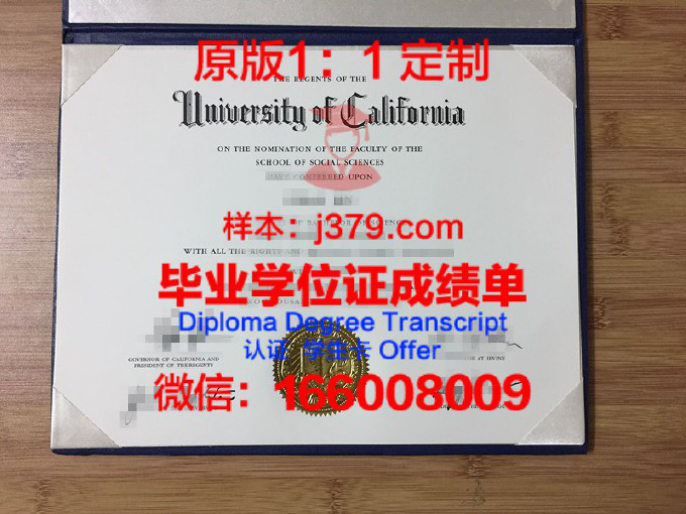 新加坡旅游管理学院毕业证 Tourism Management Institute of Singapore diploma