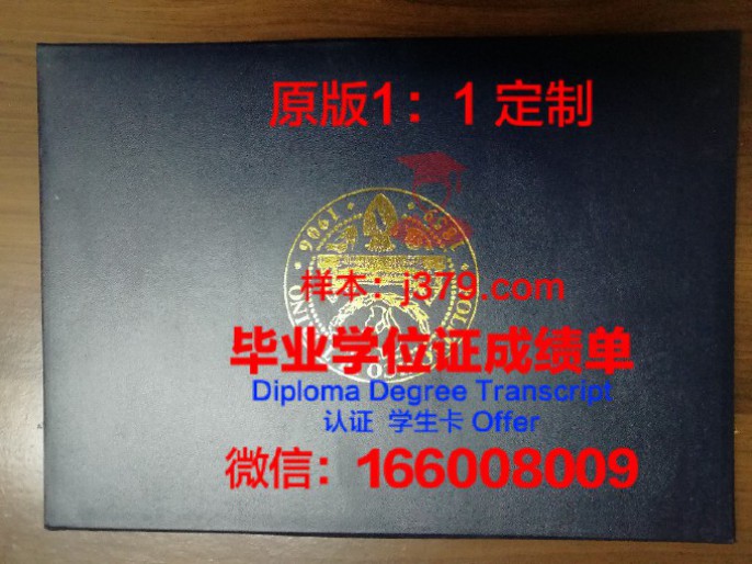 都灵大学毕业证diploma