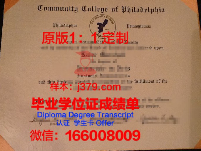 费城艺术学院毕业证diploma