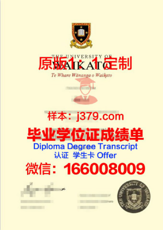 怀卡托大学毕业证diploma