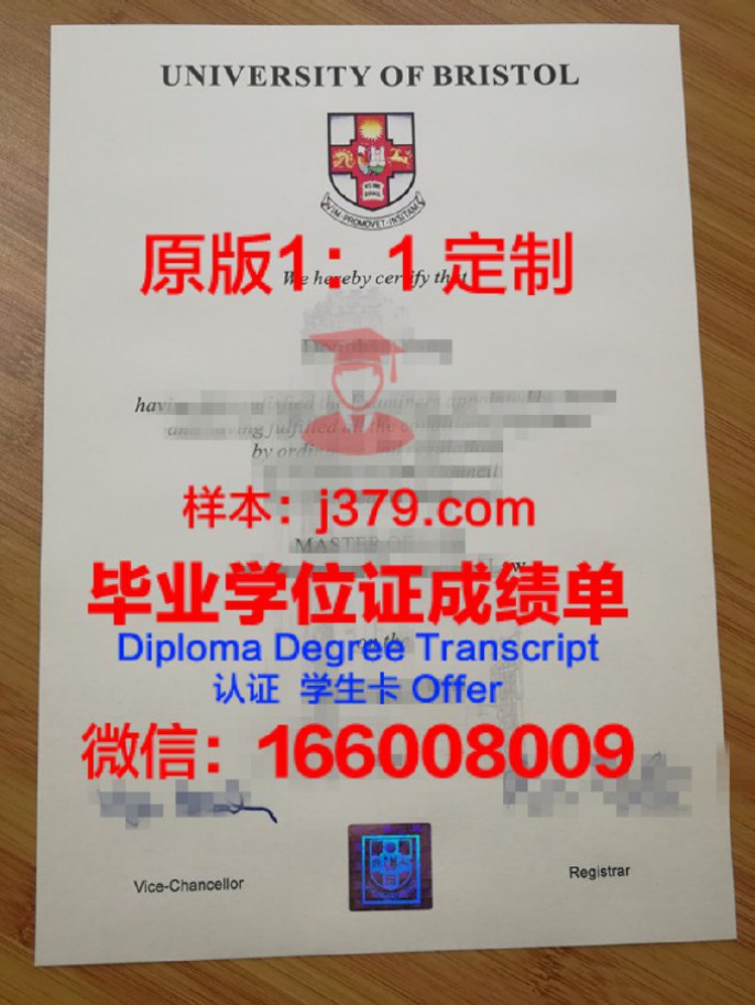 布里斯托大学毕业证diploma