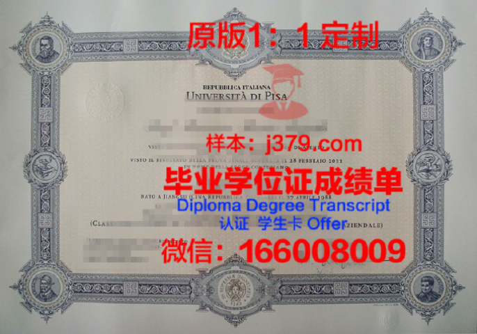 比萨大学毕业证diploma