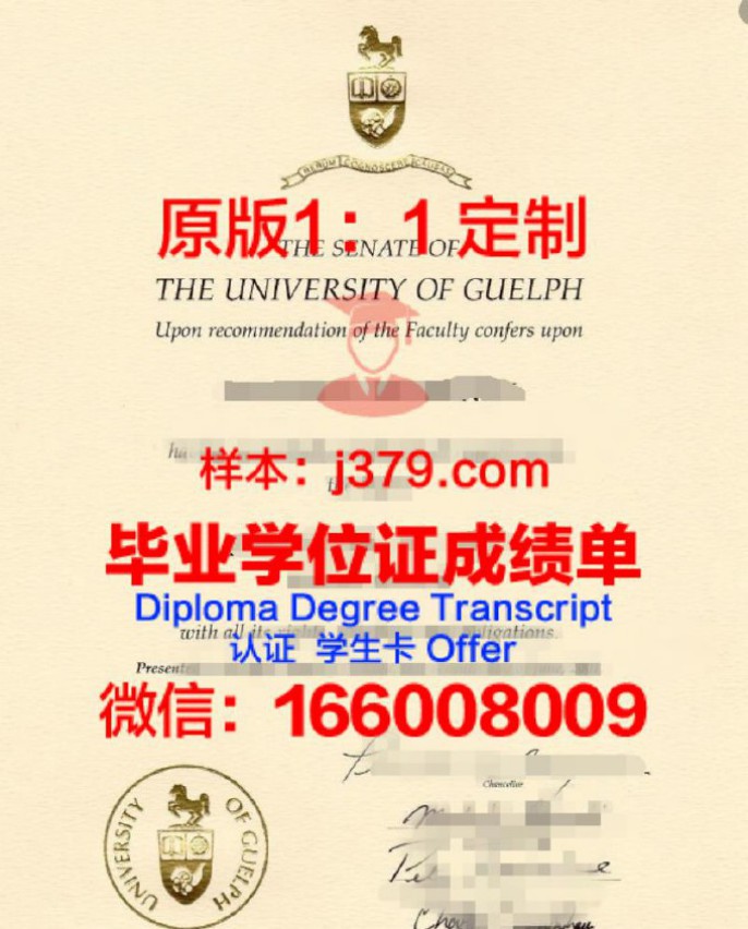 圭尔夫大学毕业证diploma