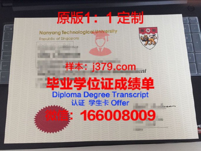 新加坡市场学院毕业证 Marketing Institute of Singapore diploma