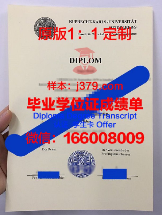 海德堡大学毕业证diploma