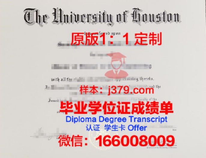 马里兰大学巴尔的摩分校毕业证  diploma