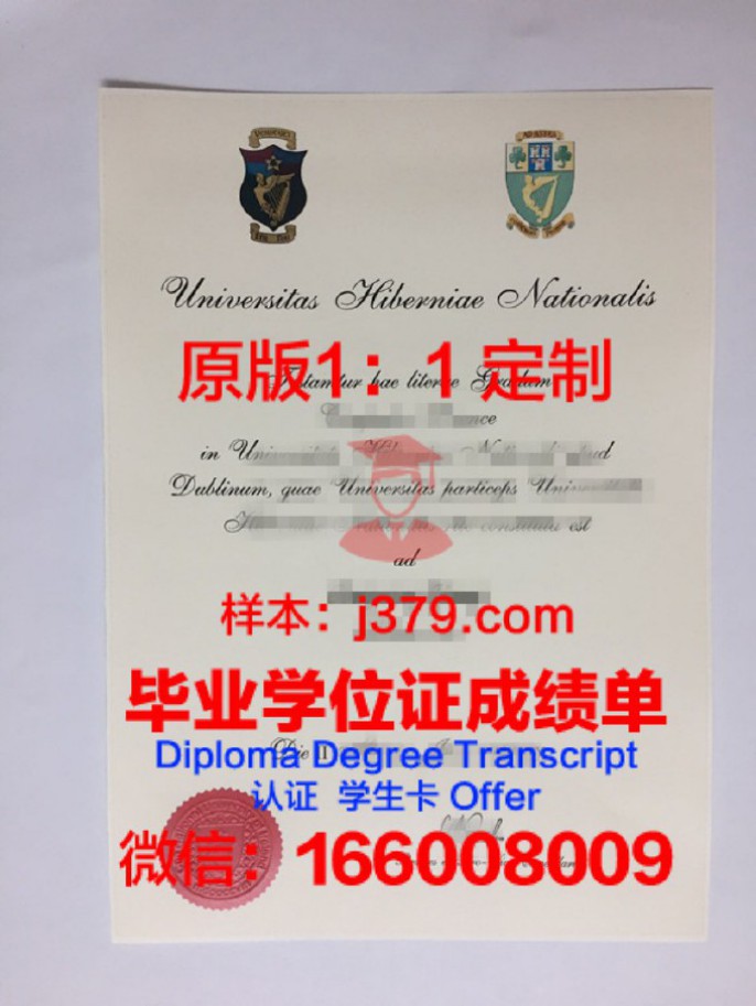 爱尔兰都柏林城市大学毕业证学位文凭学历Diploma