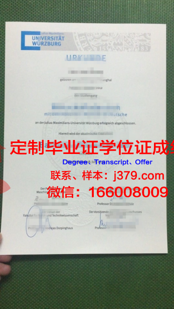 维尔茨堡大学毕业证diploma