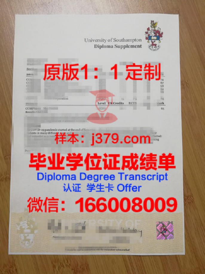 CSC成绩单：本科生学术成就的缩影