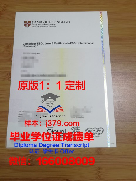 维萨里斯学院diploma证书(维萨亚斯大学排名)