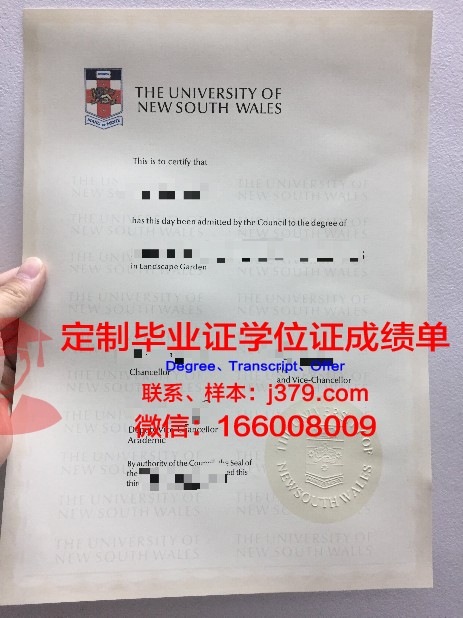 维博国际大学毕业证