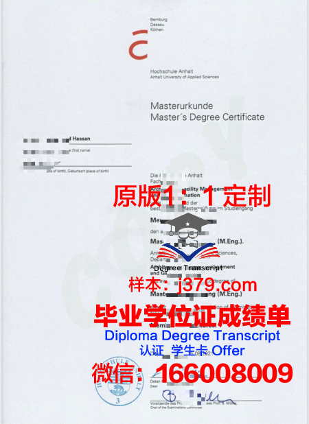 维斯马应用技术大学diploma证书(德国维斯马应用技术大学)