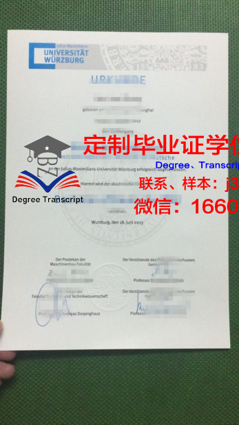 维尔茨堡大学成绩单查询(维尔茨堡大学申请条件)