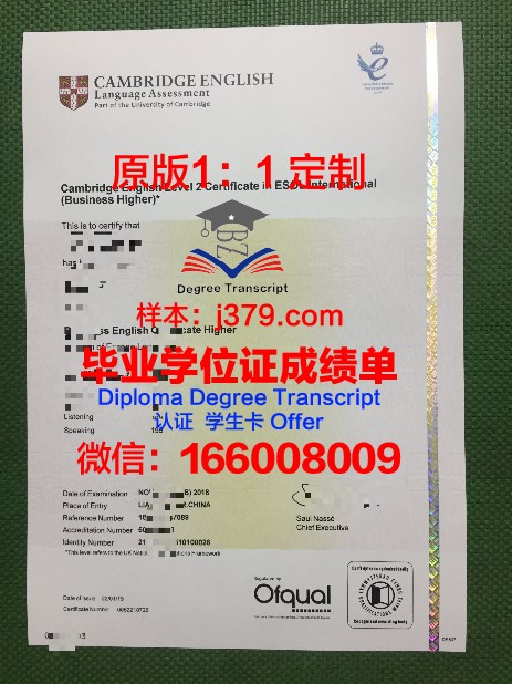 维萨里斯学院diploma证书(维萨亚斯大学排名)