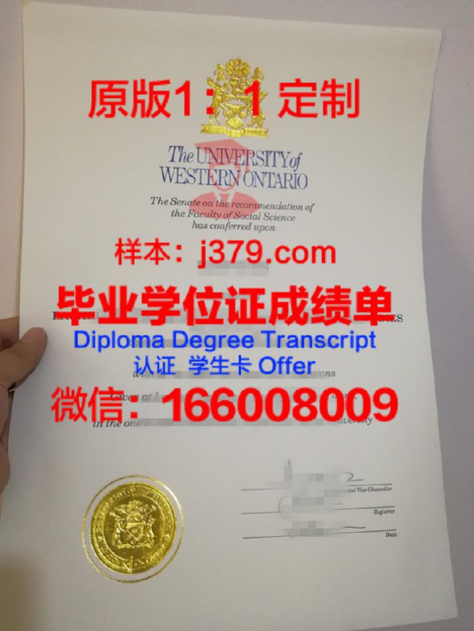 西安大略大学毕业证图片University of Western Ontario Diploma