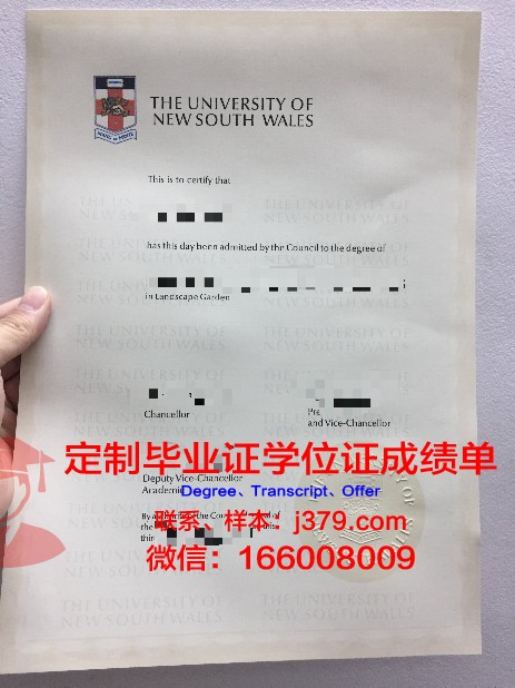 维尔瓦大学毕业证：一张纸的重量与价值