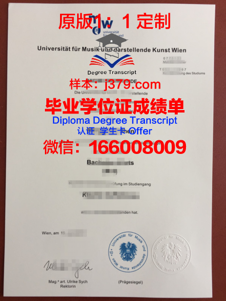 维也纳技术大学毕业证电子版(维也纳技术大学毕业证电子版)