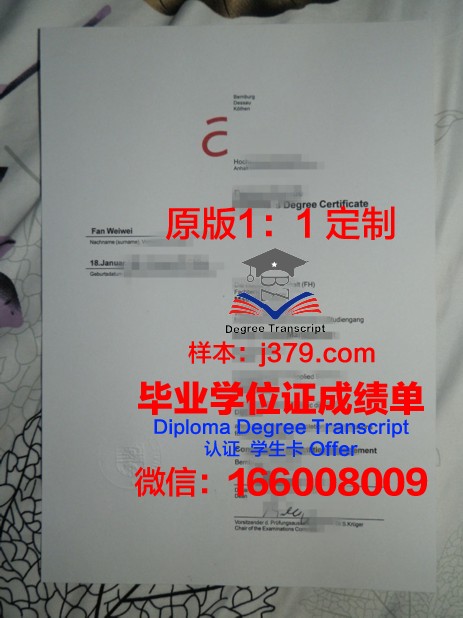 维斯马应用技术大学diploma证书(德国维斯马应用技术大学)