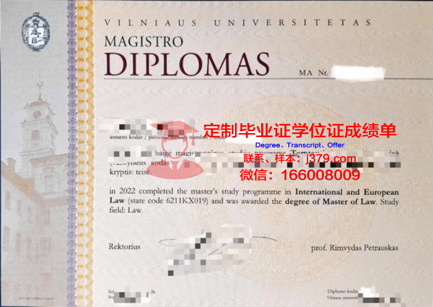 维尔纽斯大学毕业证Diploma文凭