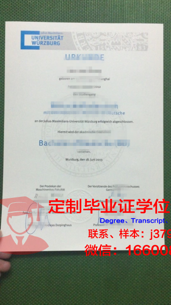 维尔茨堡大学研究生毕业证书(维尔茨堡大学研究生毕业证书图片)