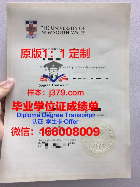 锡根大学拿不了毕业证(德国锡根大学什么水平)