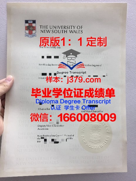 维戈大学毕业证长什么样(维戈大学毕业证长什么样图片)