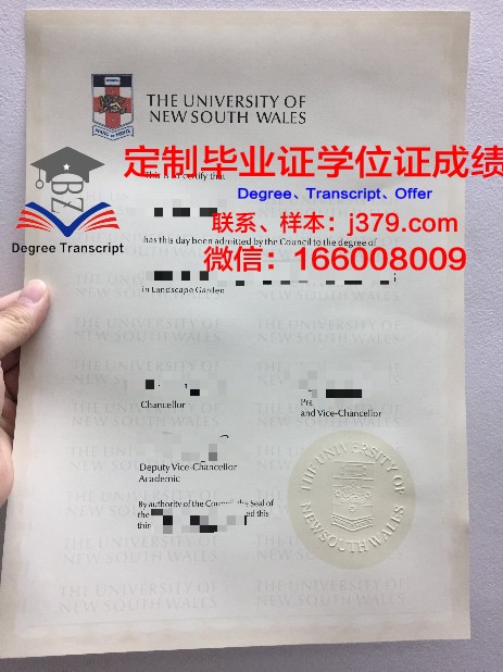 维索大学硕士毕业证样本：一份跨越国度的学术荣耀