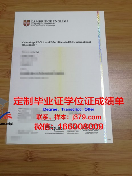 维特博大学毕业证书(维特比工程学院)