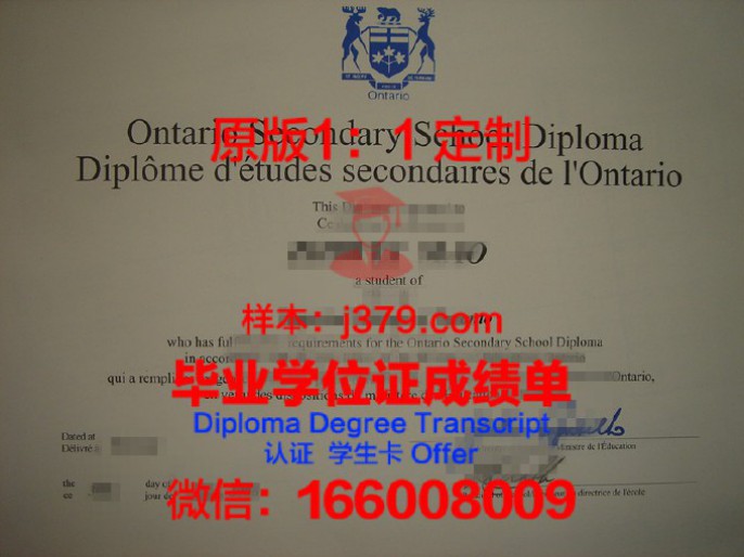 DOBA马里博尔应用商业及社会科学学院学历证书(马里博尔是哪个国家)