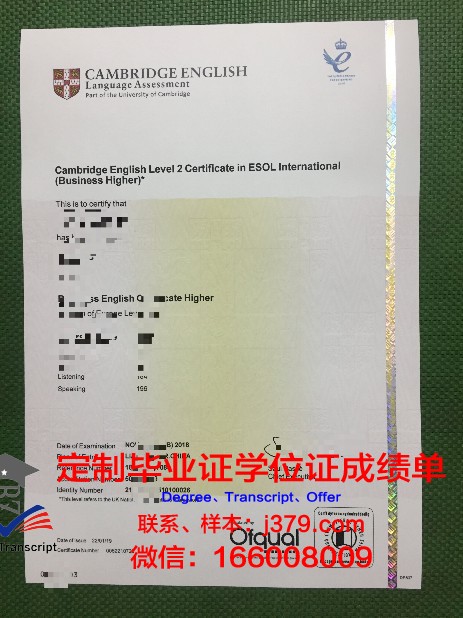 维斯瓦学院毕业证书图片(维斯瓦学院毕业证书图片大全)