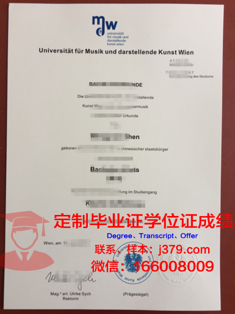 维也纳技术大学硕士毕业证：一张通往未来的通行证