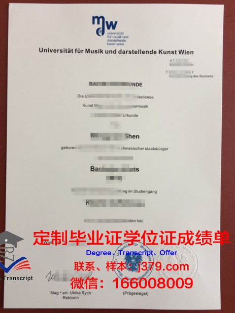 维也纳音乐与艺术市立大学毕业证书(维也纳国立音乐和表演艺术大学官网)