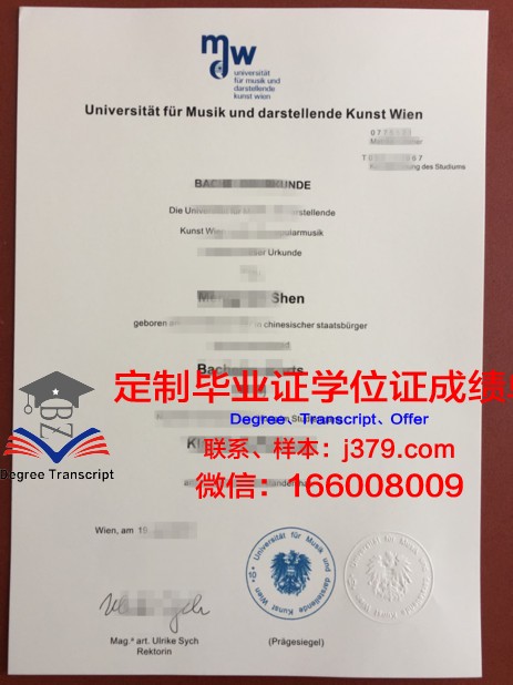 维也纳技术大学硕士毕业证：一张通往未来的通行证