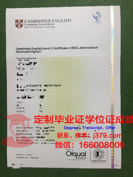 维特博大学毕业证书(维特比工程学院)