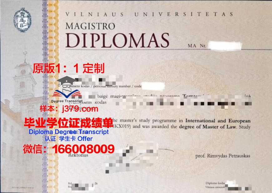 维尔纽斯大学毕业证Diploma文凭