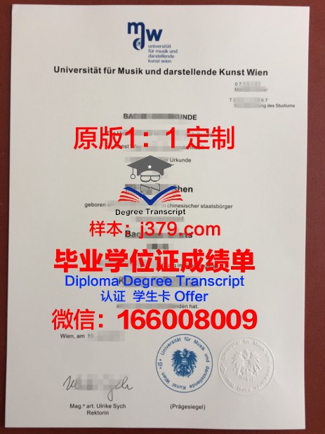 维也纳技术大学毕业证什么样子(维也纳大学毕业难度)