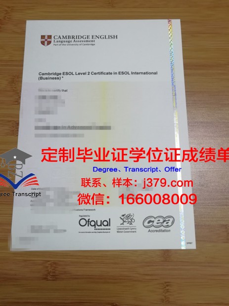 维罗纳大学diploma证书(维罗纳音乐学院世界排名)