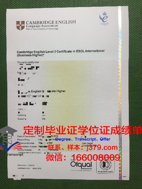 维罗纳大学diploma证书(维罗纳音乐学院世界排名)