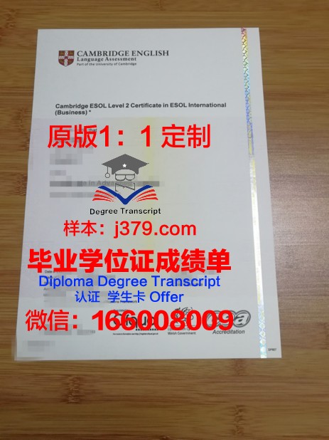 宇都宫共和大学博士毕业证书