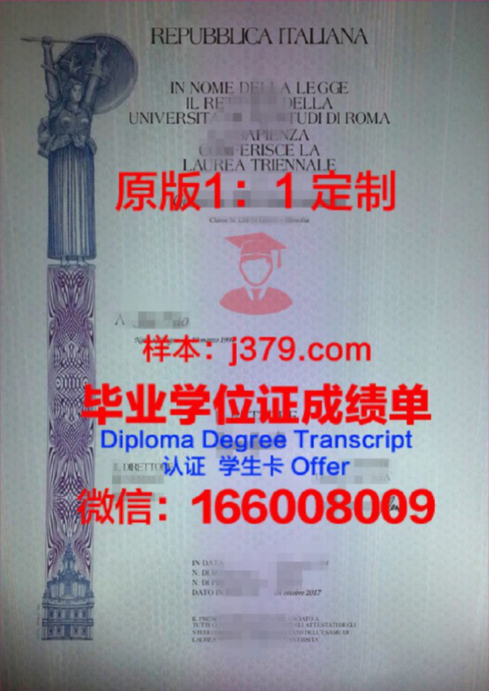 罗马第二大学博士毕业证书(意大利罗马大学博士学位中国承认吗)