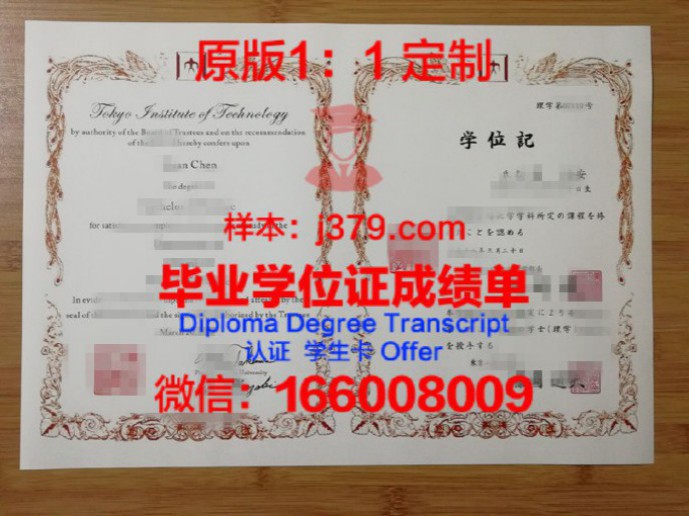 东京数字艺术专门学校diploma证书(东京数字科技控股有限公司)