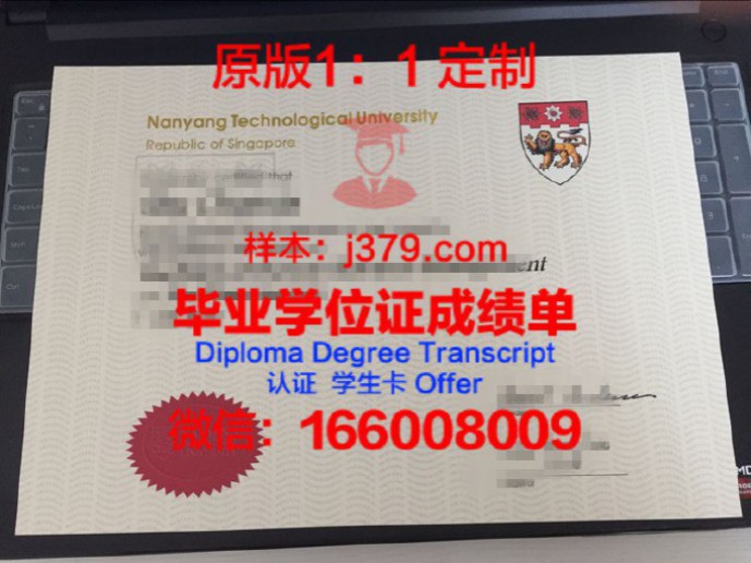 沙里夫理工大学diploma证书(沙力夫理工大学世界排名)