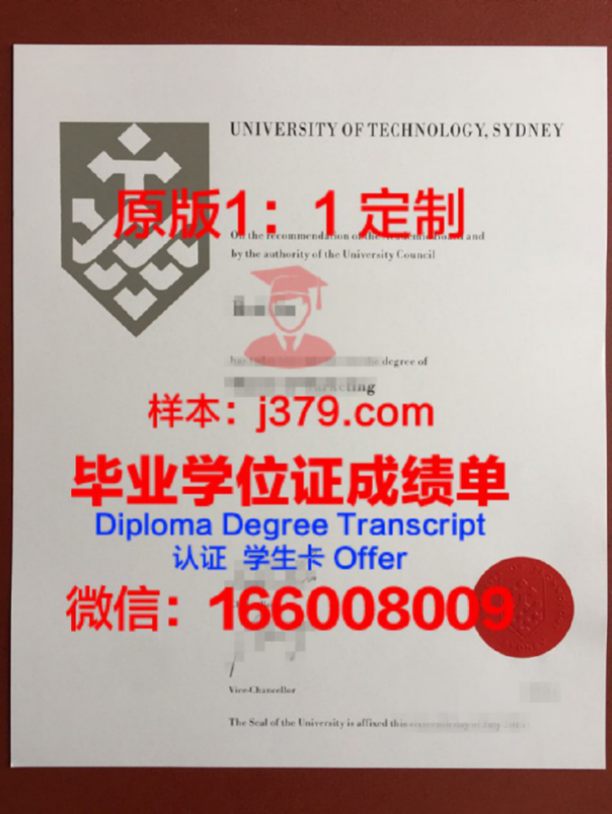 悉尼环球商学院录取通知书 OFFER 定制：量身打造你的留学梦