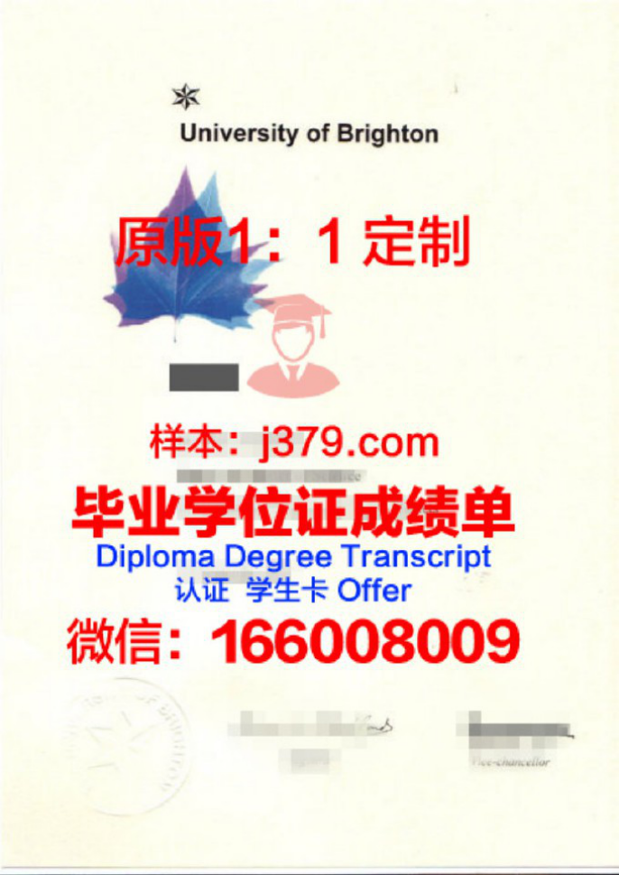 布莱顿大学：一所不容小觑的学府